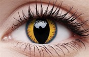 Wolf Moon Wolf Moon